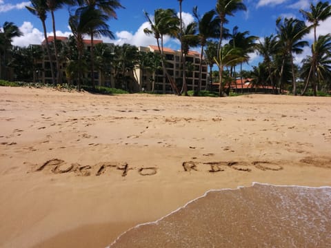 On the beach, sun loungers, beach towels