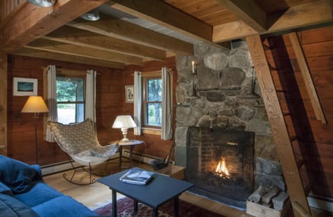 Living area | Fireplace, books