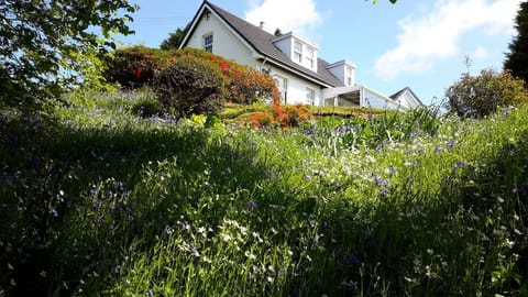 Looking up to the cottage from the huge garden. Bluebells nearly out!