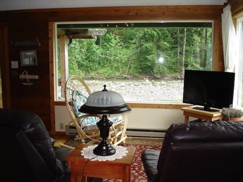Living Room With River Through The Window