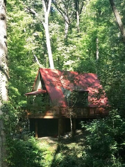 Hidden Gem! So close to town, yet you feel as if you’re in the woods far away!