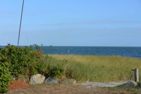 On the beach