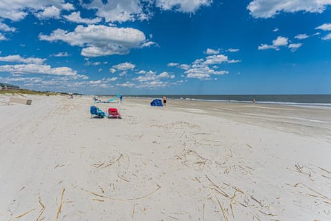 On the beach