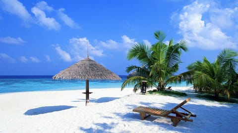 On the beach, sun loungers, beach towels