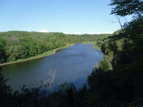 View of the Saugeen River from the Lookout area