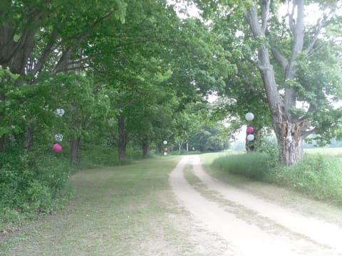Long Driveway to House