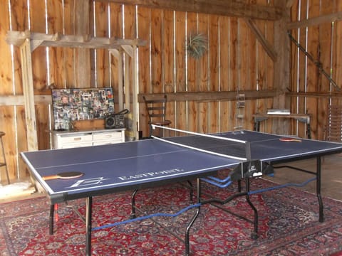 Table tennis in the barn