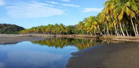 Beach nearby, sun loungers, beach towels