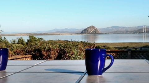 Enjoy this view of the bay every morning with your coffee and the birds 
