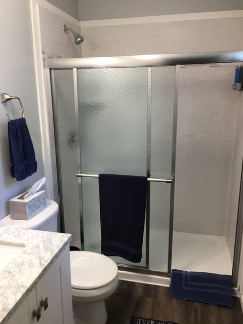 Newly remodeled bathroom with walk in shower 