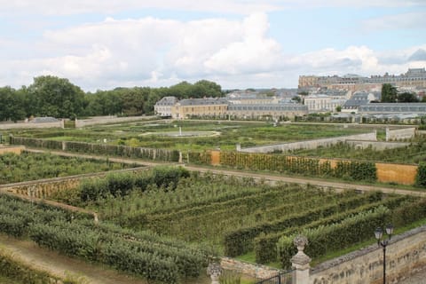 Stunning views of the potager de Roi vegetable garden and castle