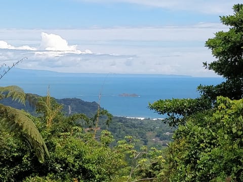 Beautiful Pacific Ocean, Drake's Bay and Forest Views