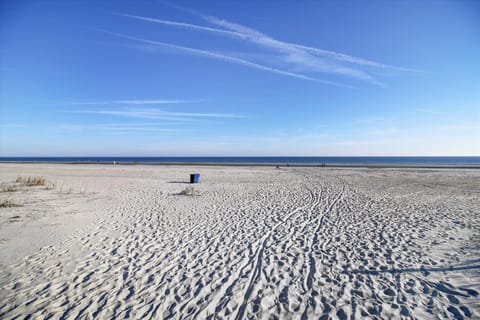 On the beach