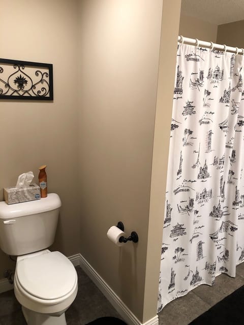 Combined shower/tub, hair dryer, towels, soap