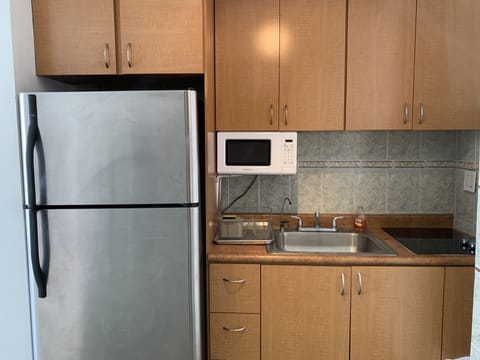 Fridge, microwave, stovetop, coffee/tea maker