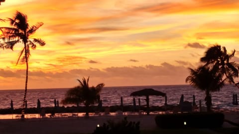 Beach nearby, sun loungers, beach towels