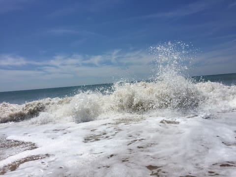 On the beach