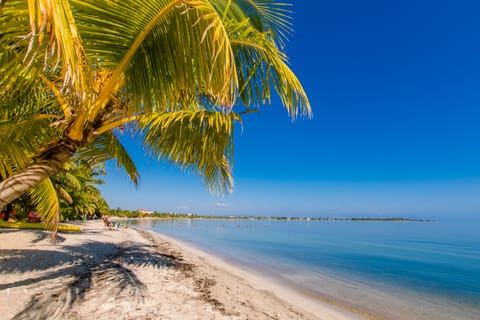 2 minute walk to the beach