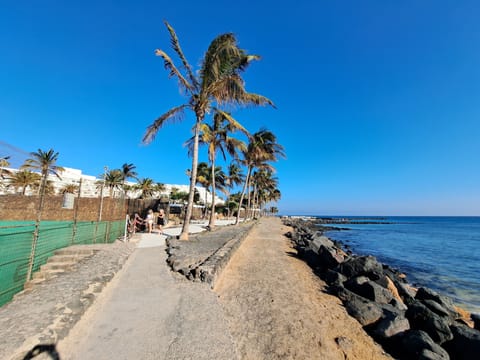 Beach nearby, sun loungers