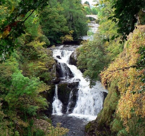 Reekie Linn
