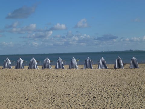 Beach nearby, sun loungers