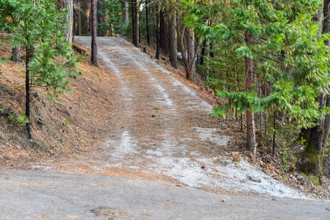 Driveway to cottage- 13% incline.
