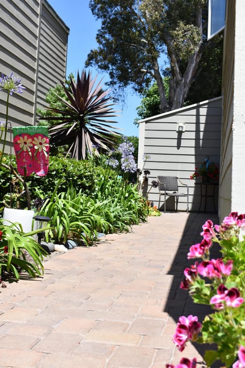 PLANT-LINED PAVED ENTRY