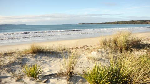 On the beach, sun loungers