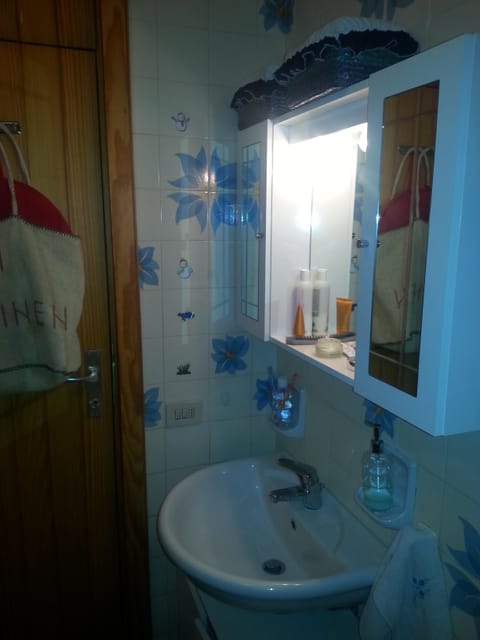 Shower, hair dryer, bidet, toilet paper