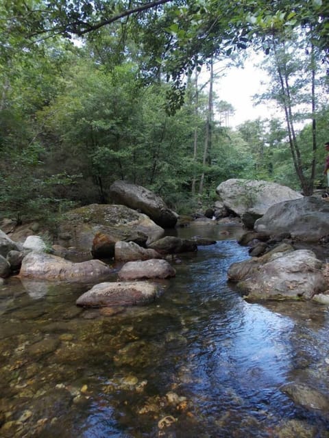 The river Maremola, a ten-minute walk