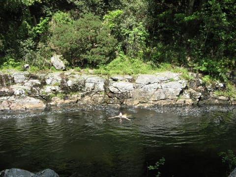 Wild swimming nearby in the River Dart