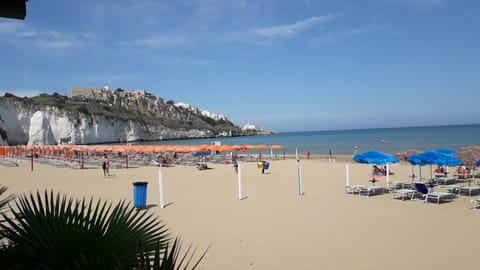 Beach nearby, sun loungers