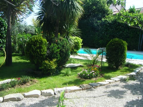 Garden and pool