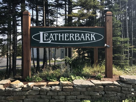 Leatherbark 