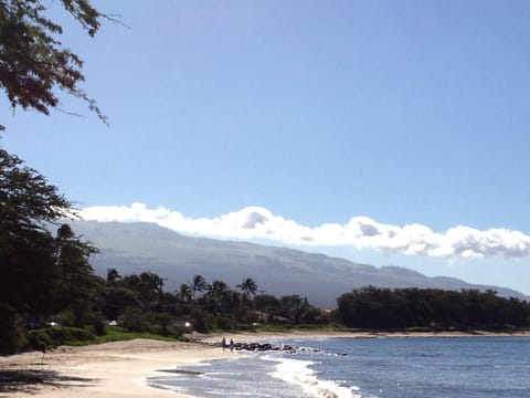 On the beach, sun loungers, beach towels