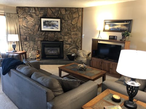 Living room with gas fireplace, flat panel TV, and blu-ray disc player.