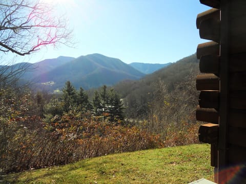 Views from all around the home