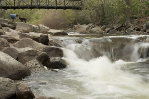 Boulder Creek is 5 blocks away, biking trail, parks, sculptures....