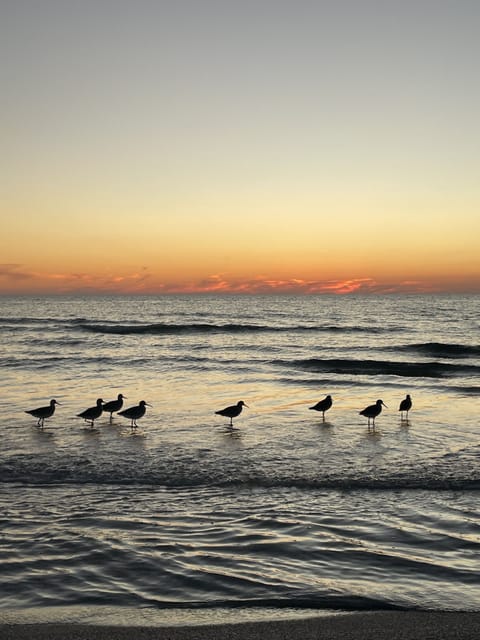 Beach nearby, sun loungers, beach towels