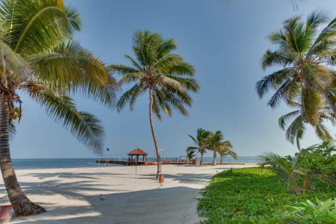 On the beach, sun loungers, beach towels