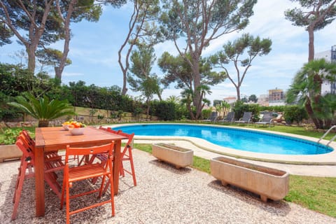 Outdoor pool, sun loungers