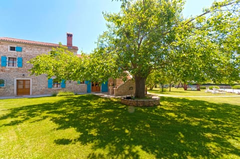 A beautiful shade under the warm sun