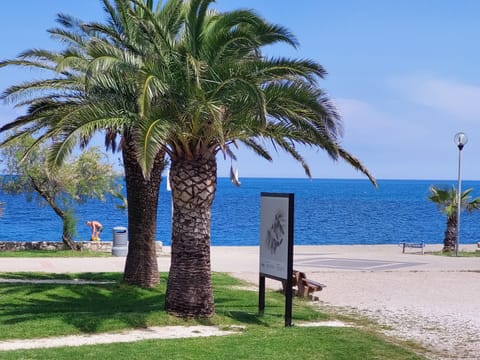 Beach nearby, sun loungers