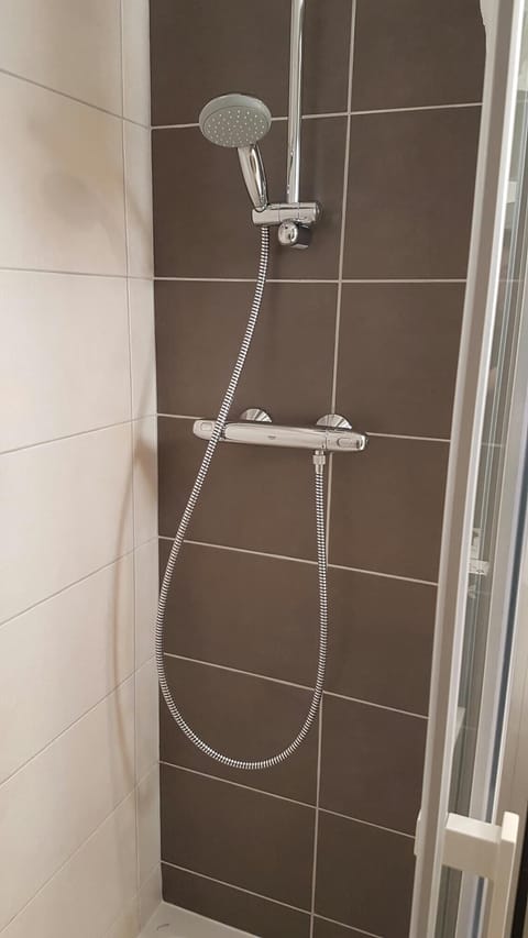 Shower, hair dryer, toilet paper