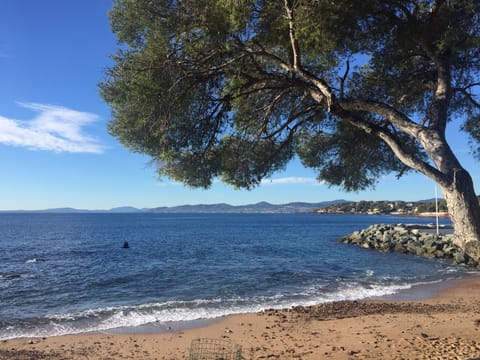 Beach nearby, sun loungers