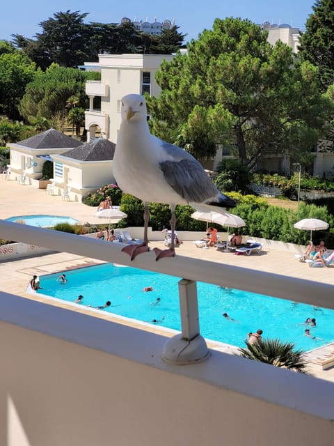 A heated pool, pool umbrellas, sun loungers