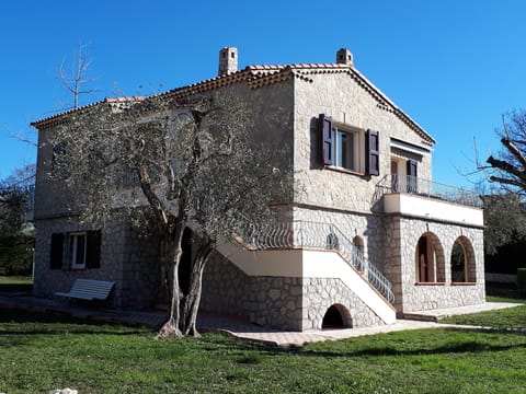 The house in the middle of olive trees