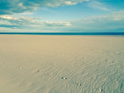 On the beach