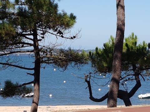 On the beach, sun loungers