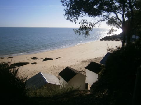 Beach nearby, sun loungers